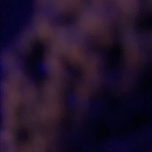 Meet your Posher, Brendan